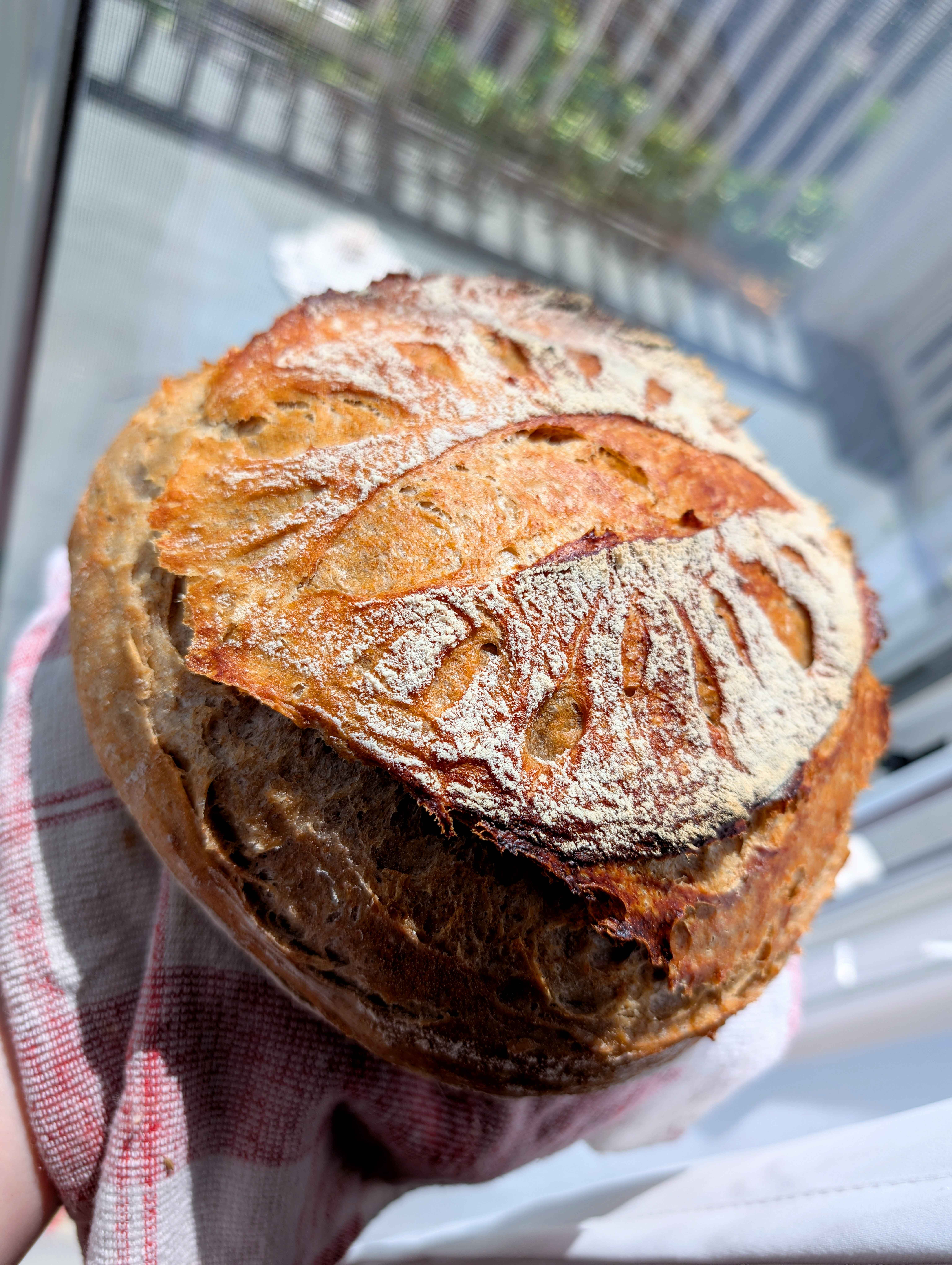 Sourdough Bread
